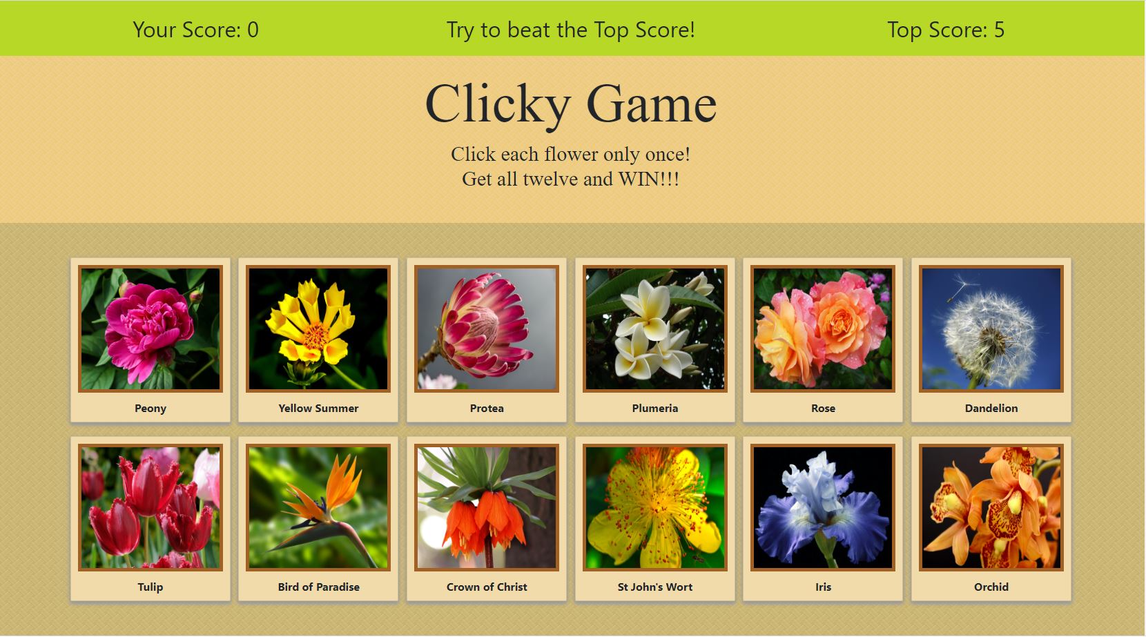 Image of Memory Game